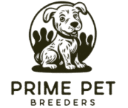 screen shot 2025 11 30 at 12.56.38 am removebg preview