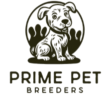 screen shot 2025 11 30 at 12.56.38 am removebg preview