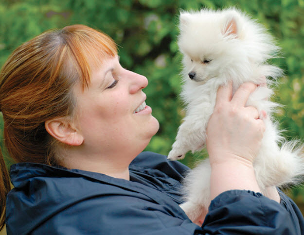 pomeranian 5